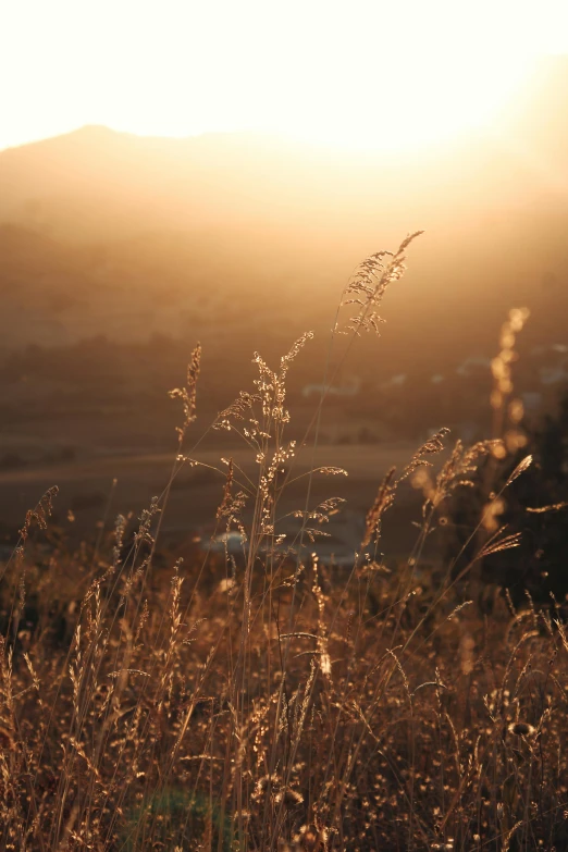 the sun is shining over the grass and hills