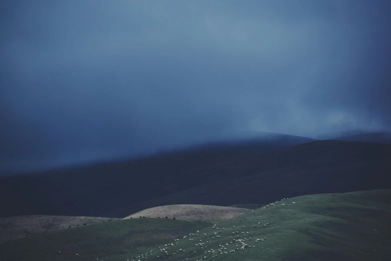 animals grazing on the hillside under stormy skies