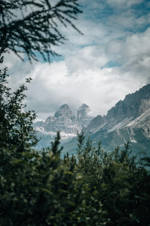 a view of three mountain peaks, in the foreground are pine trees and grey clouds