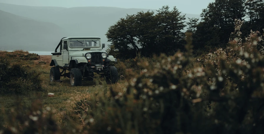 a truck is driving through some brushy terrain