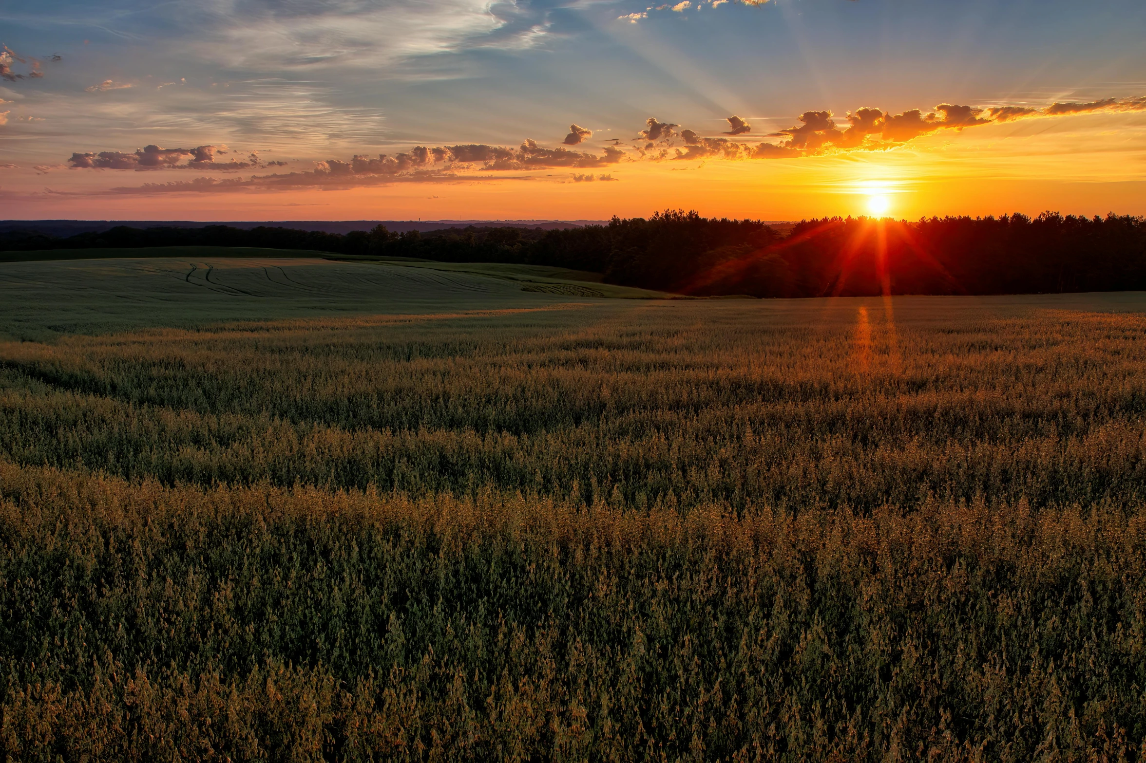 a sunset over a large field with the sun peaking above