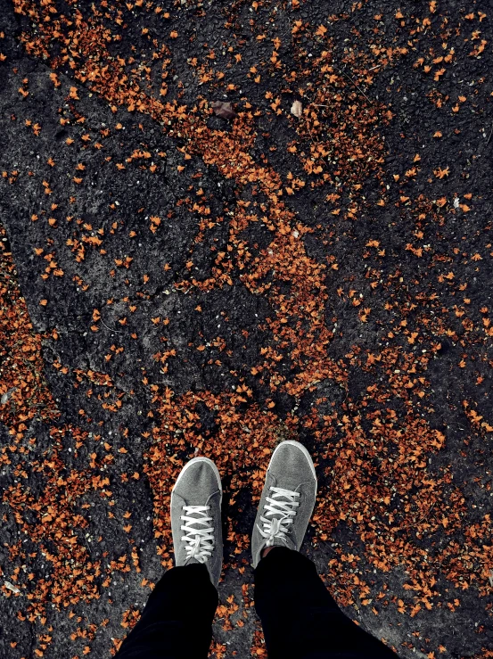 someone in grey sneakers standing on a sidewalk