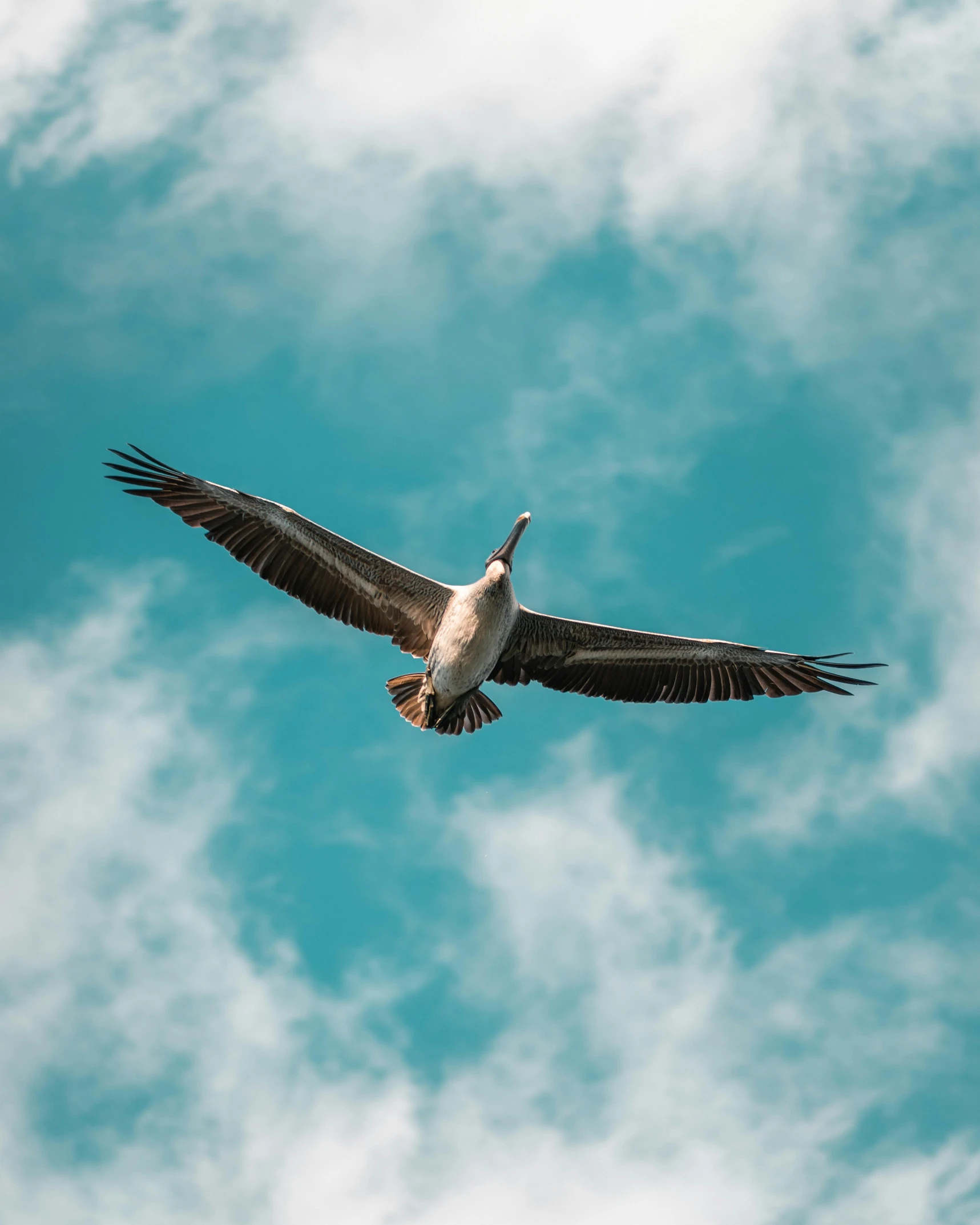 a bird is flying through the blue cloudy sky