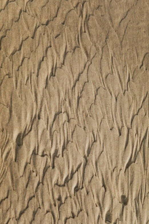 an abstract sand background with lines and waves