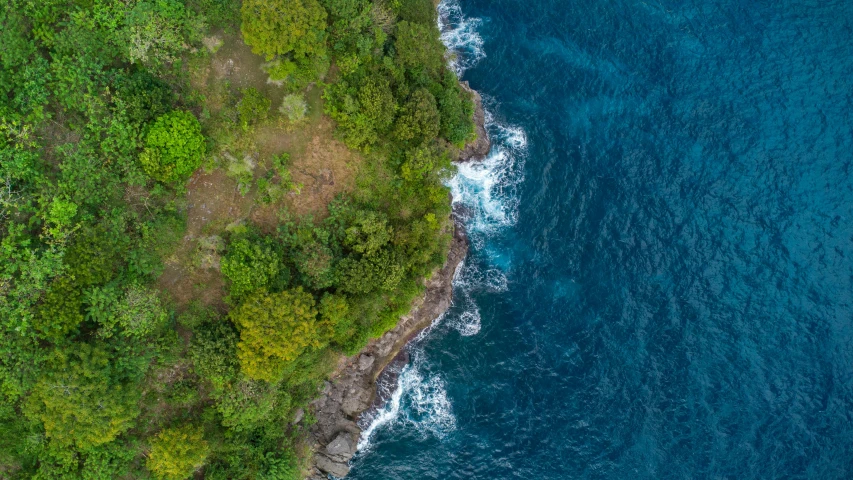 an aerial view of water surrounded by green trees