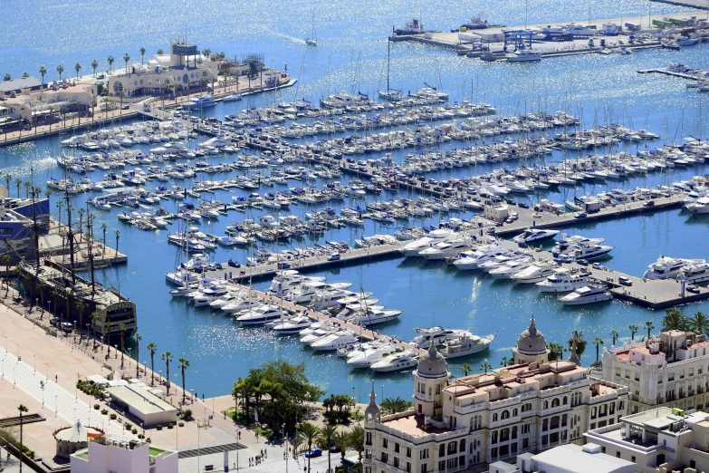 a city is covered in many very pretty boats