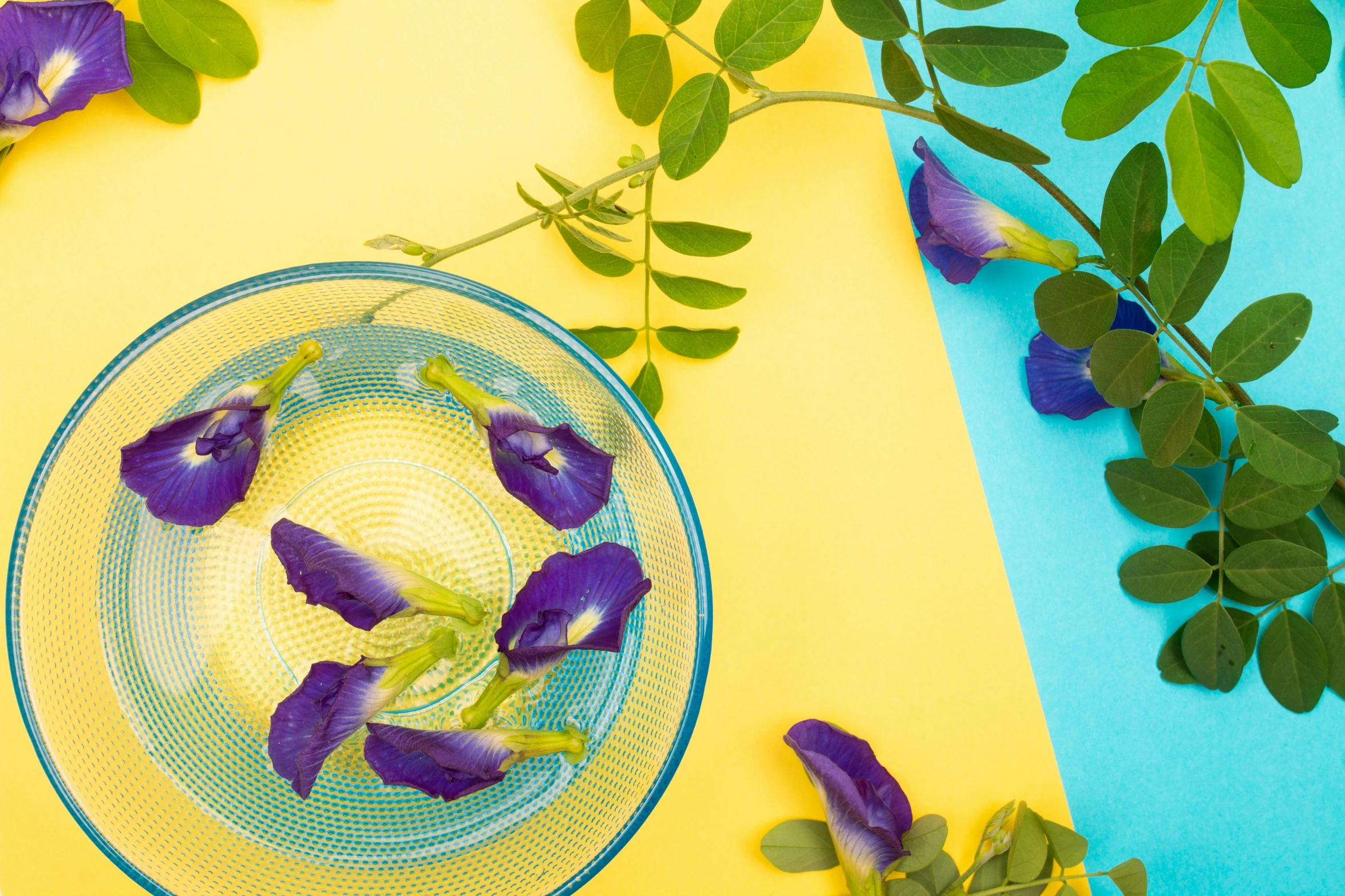 several purple flowers are in a glass bowl on a blue and yellow table