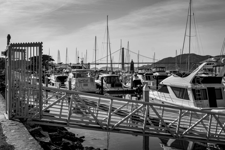 boats are docked at the marina in black and white