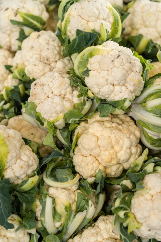 fresh cauliflower is piled up for sale