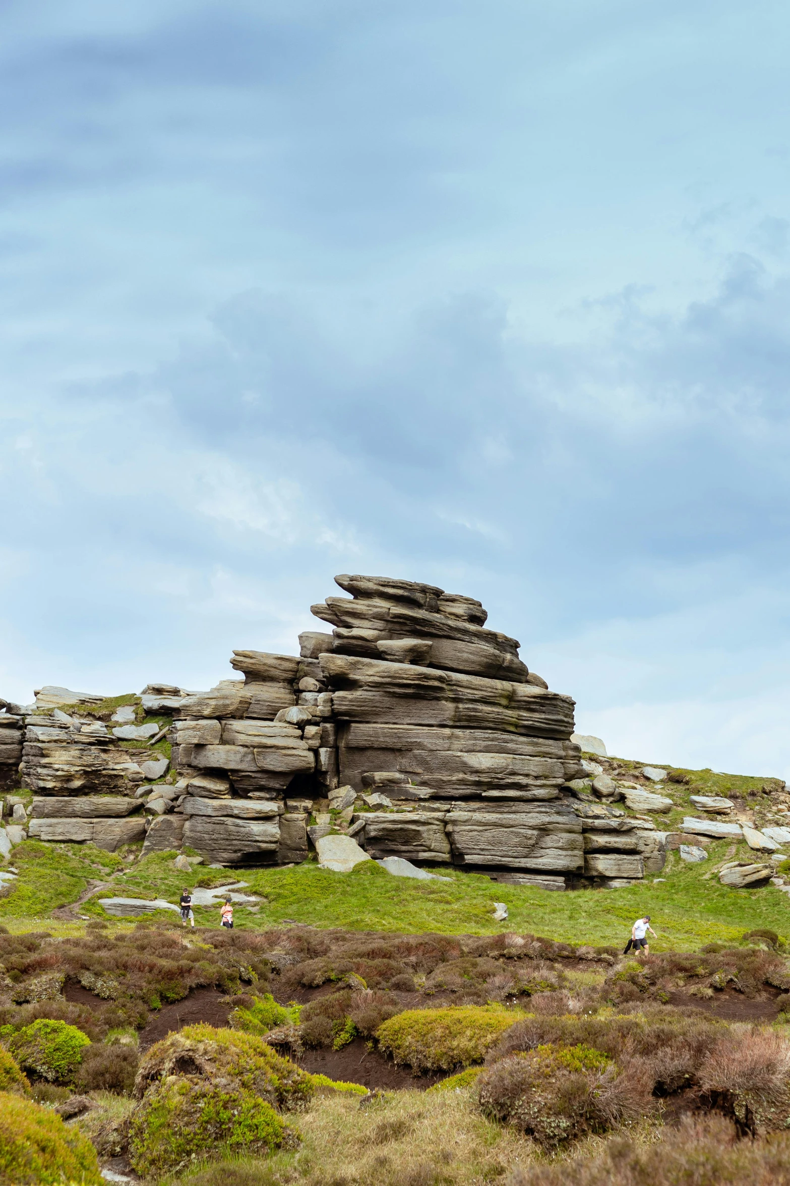 a grassy hill with a rock formation and other vegetation