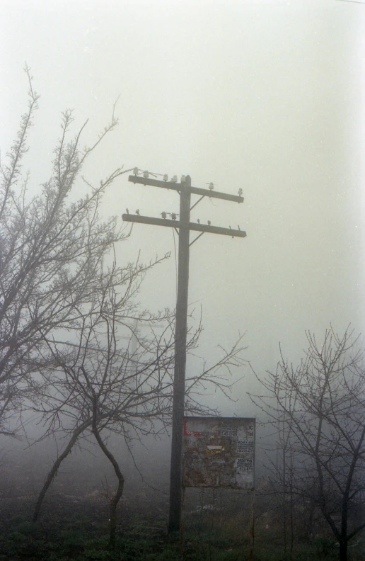 telephone poles on the corner of an old field