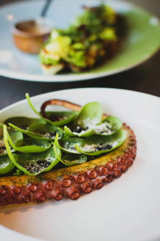 two plates with some sort of vegetable on them