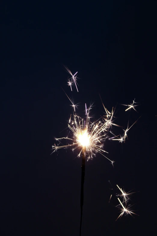 a flower with lots of sparklers blowing in the wind