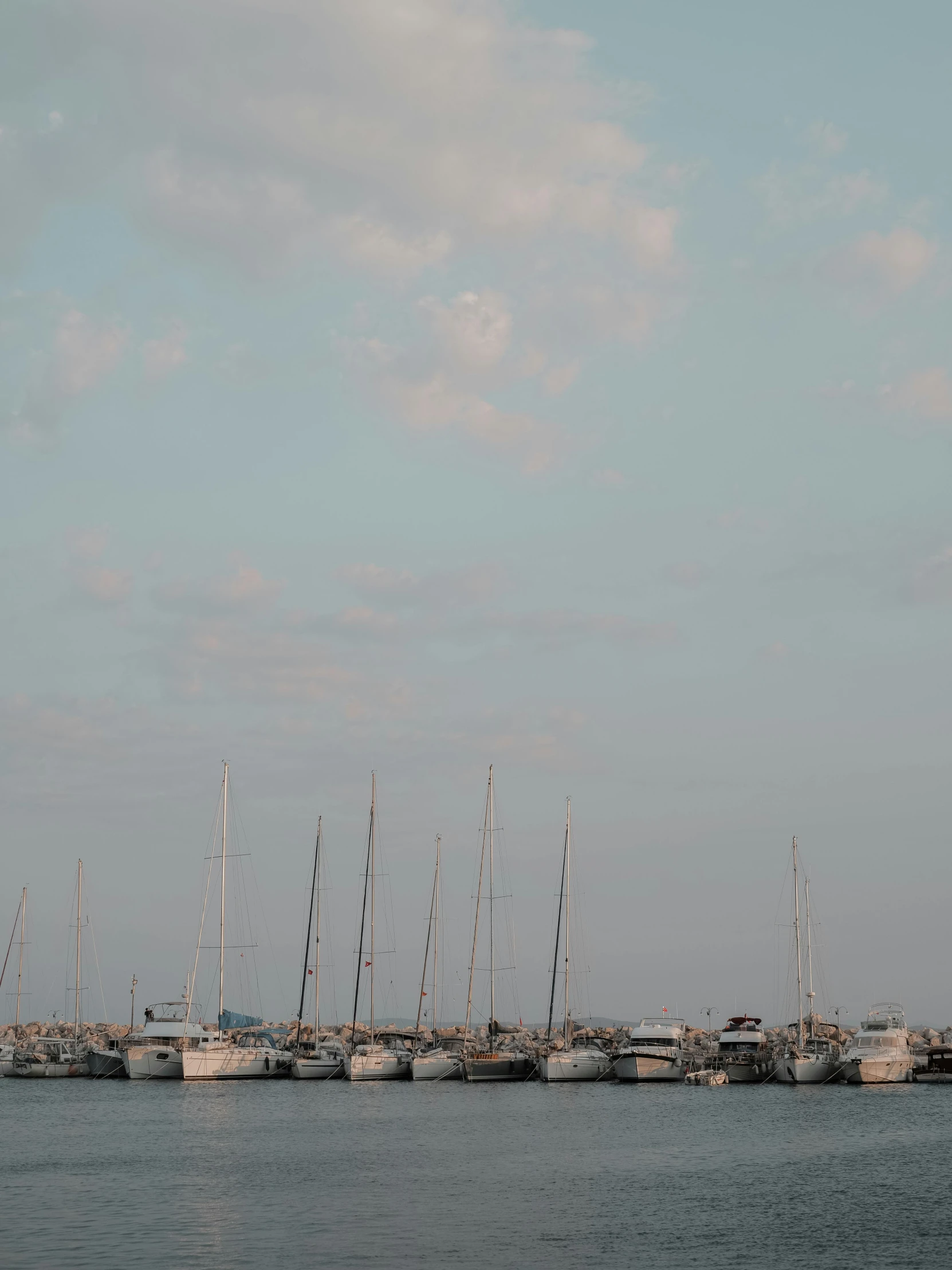 large number of sailboats in the water near the shore