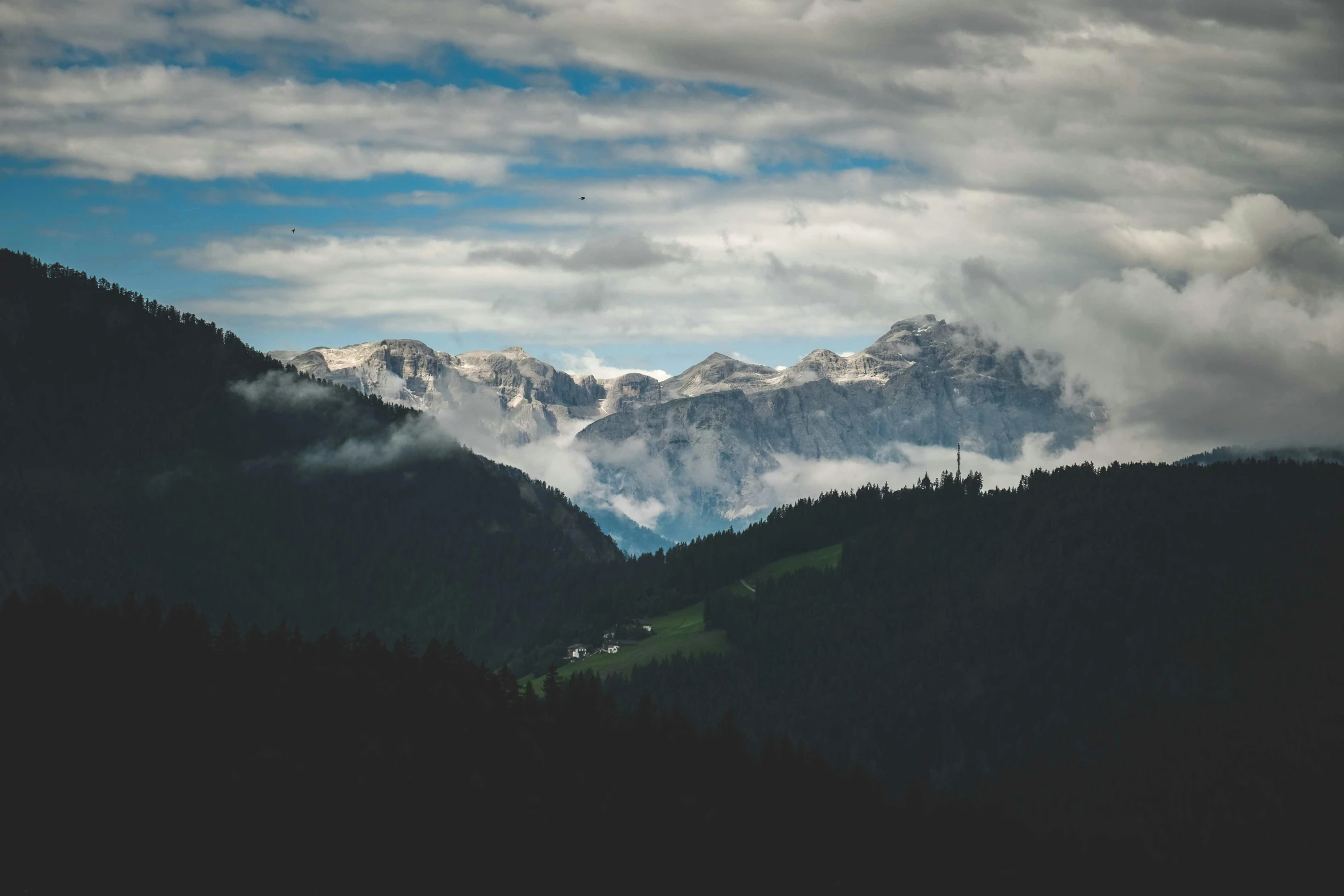 a forest with a couple of mountain peaks and clouds