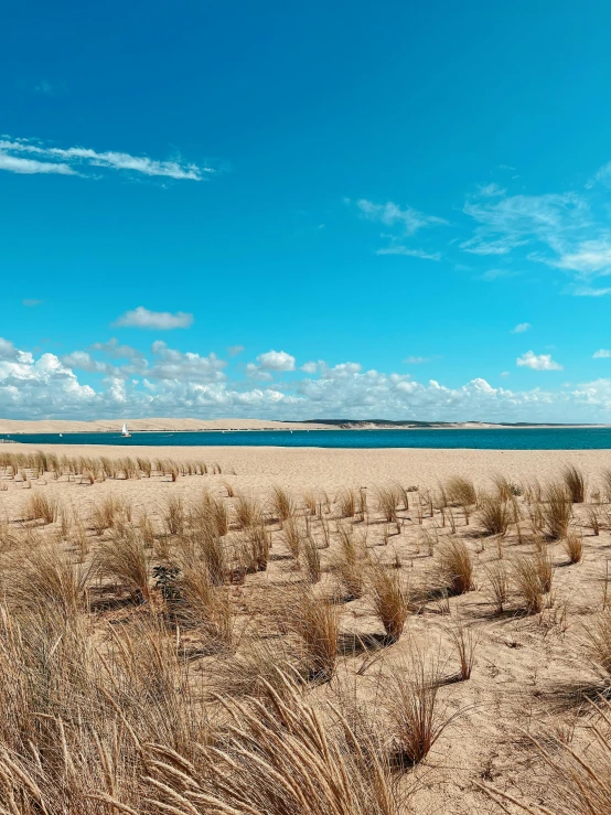 a beach that is on a sunny day