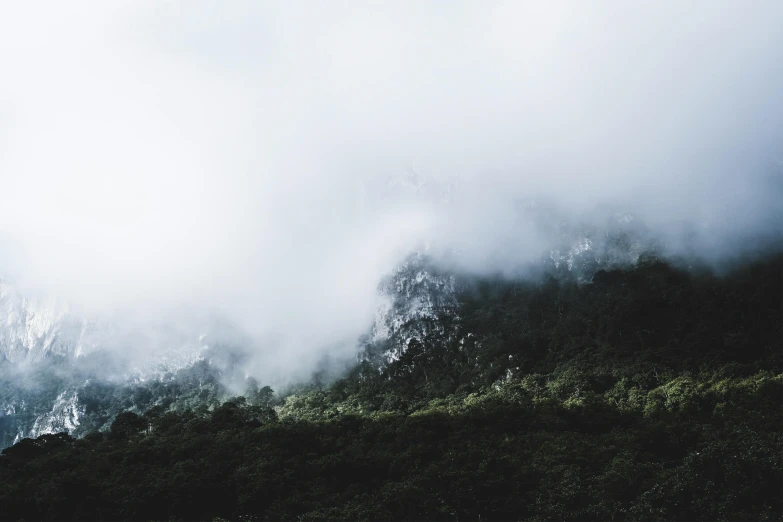 clouds loom over trees on top of a hill