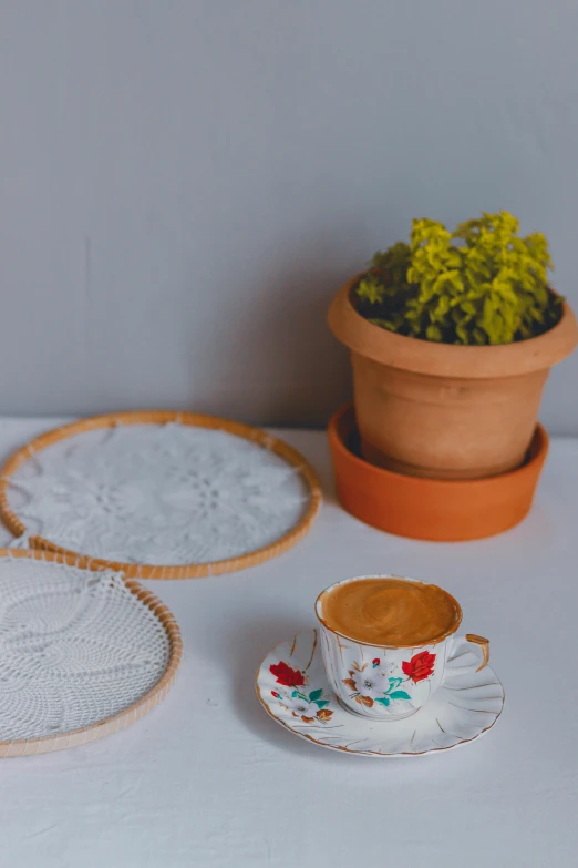 a tea cup and saucer sitting next to a plant