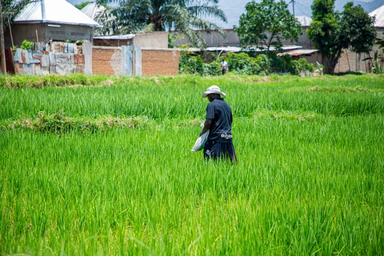 a man walking through a field with tall grass