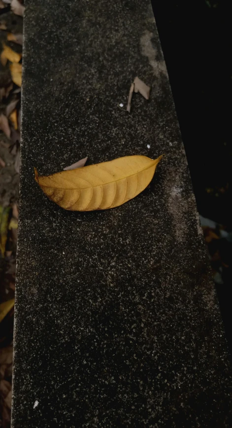 a single piece of yellow leaf lies on the black surface