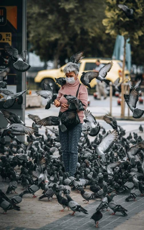 a flock of birds in flight next to a woman