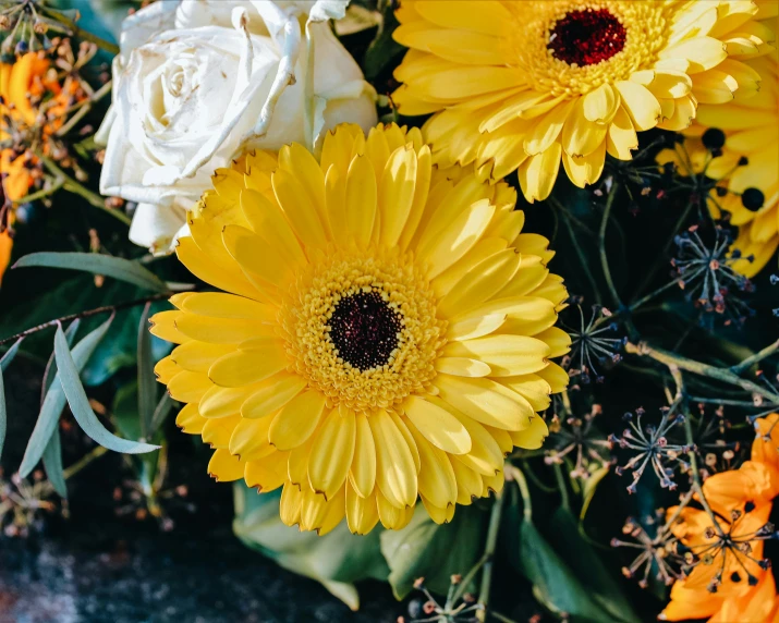 a lot of yellow flowers that are outside