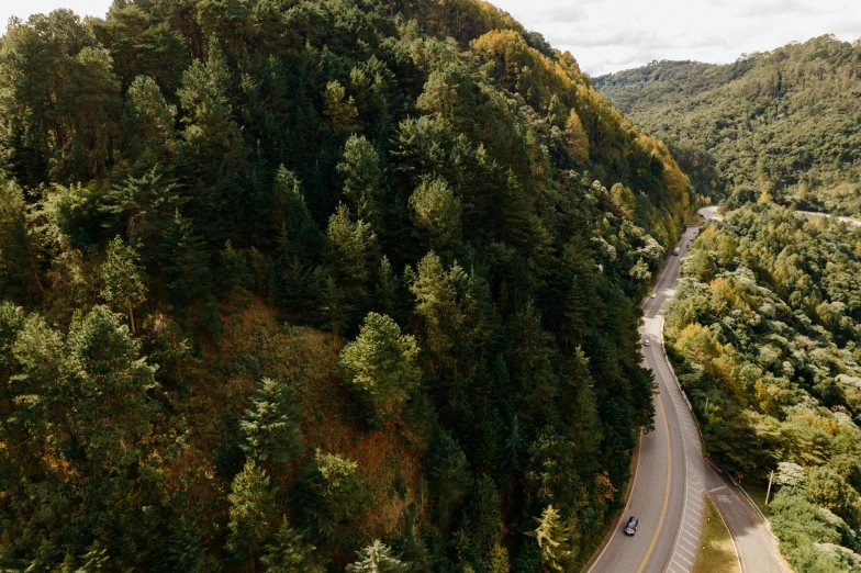 a road winding into the mountains through trees