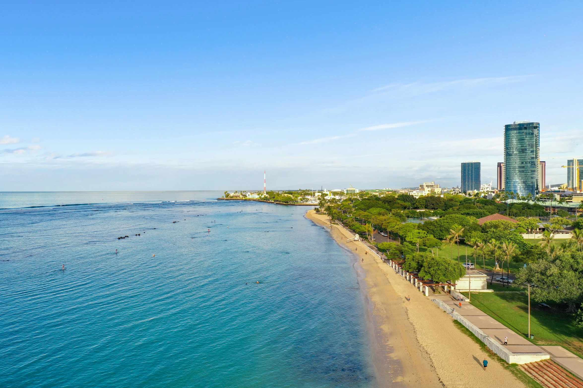 a beach area next to the ocean with a bunch of palm trees