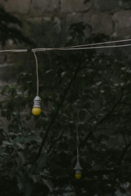 an image of some light bulbs hanging