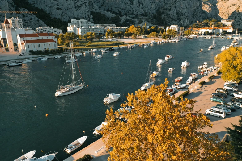 a long boat harbor in a forested area with trees