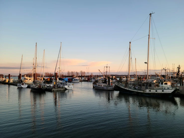 several sailboats moored at an empty harbor