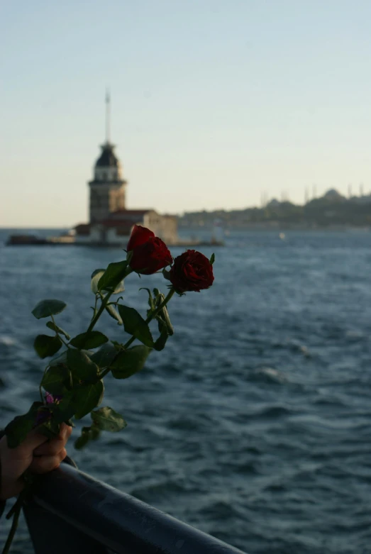 a person's hand holding onto some roses by the ocean