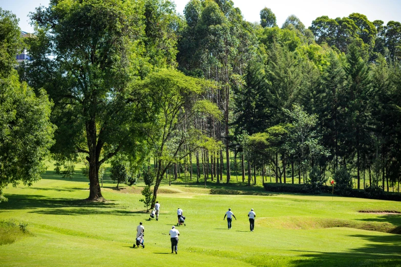 a group of people playing in a field