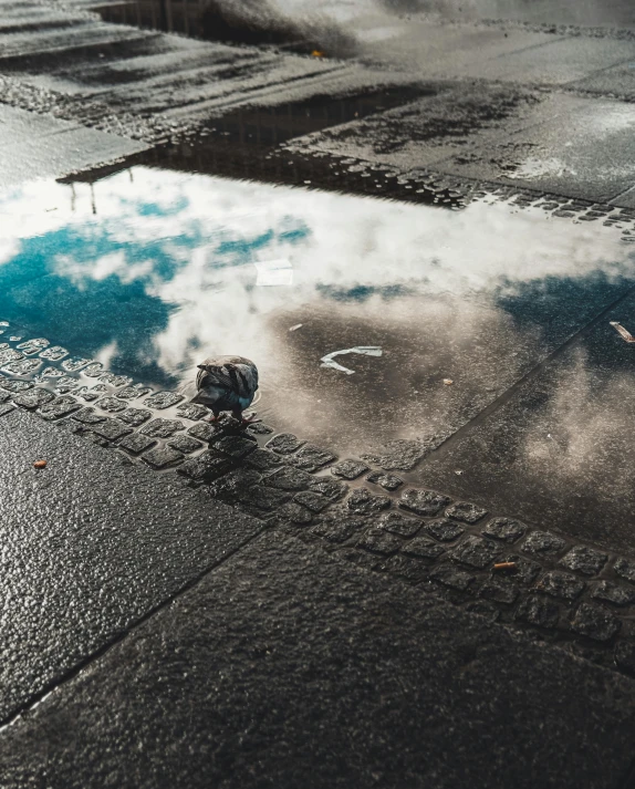 a dle of water sitting on the pavement