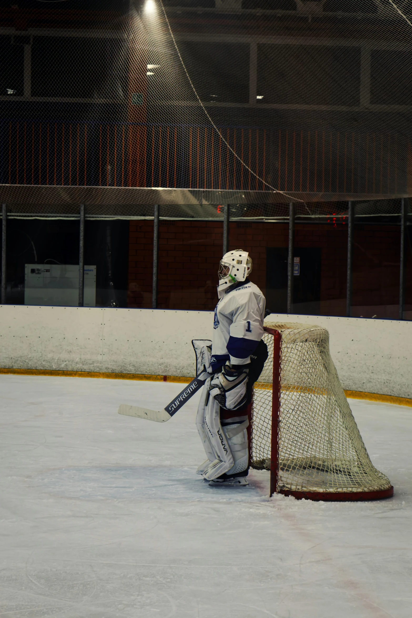 an ice hockey player with a stick and glove