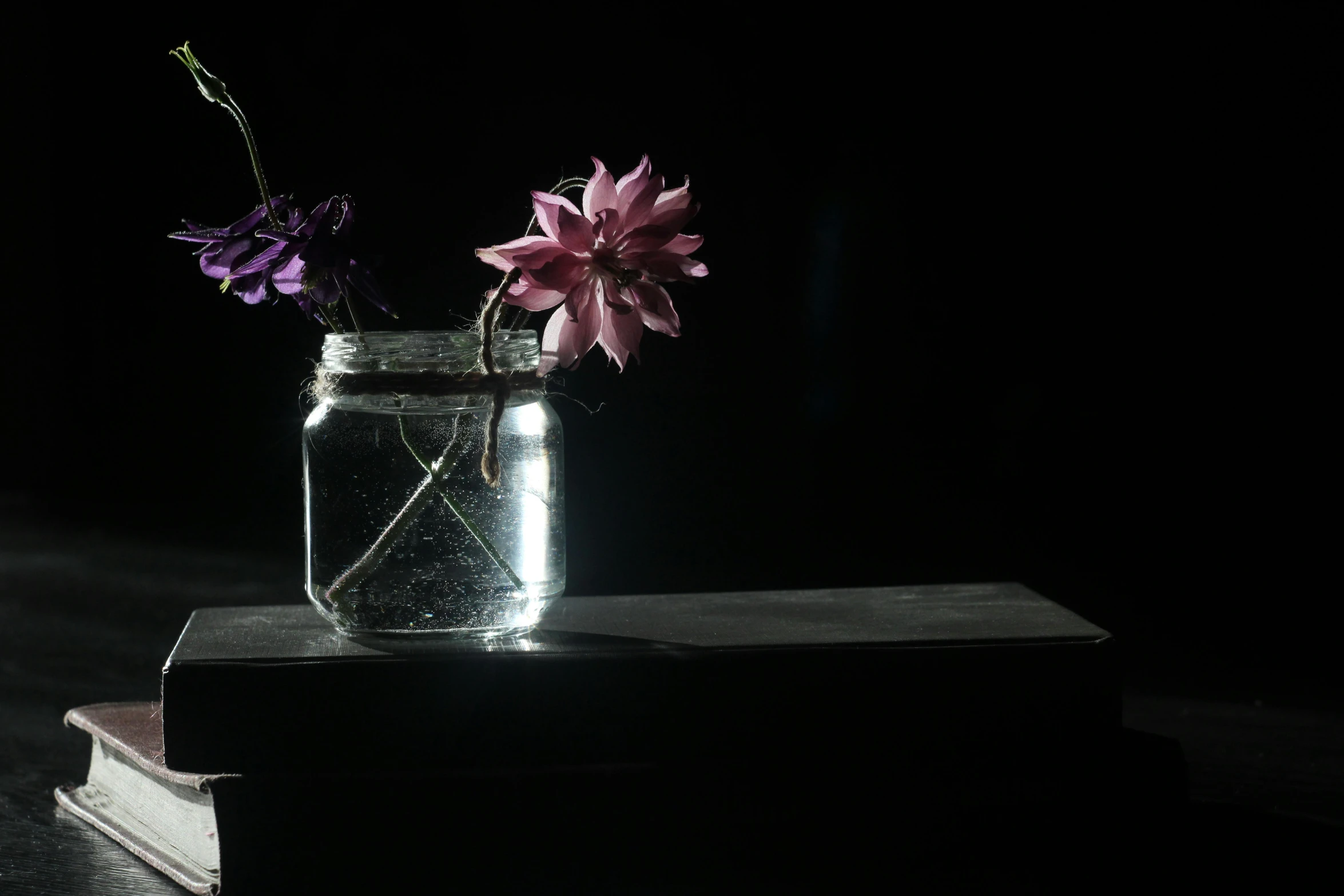 a clear vase with flowers in it sitting on a book