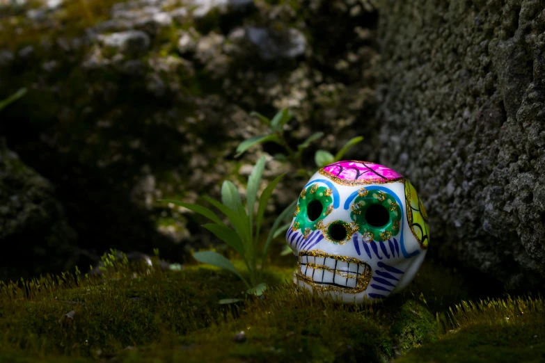 a colorfully decorated skull is in a mossy meadow