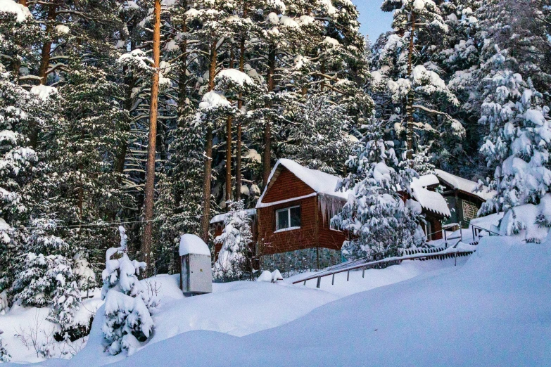 a cabin on the slopes near some pine trees