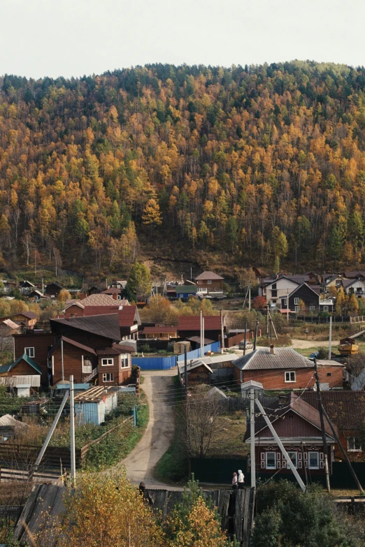 a small village on the outskirts of a forest