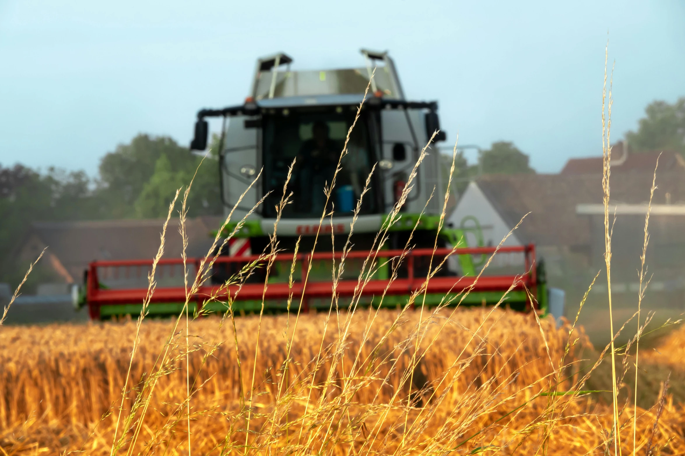 the red harvester and the green grass can be seen on the farm