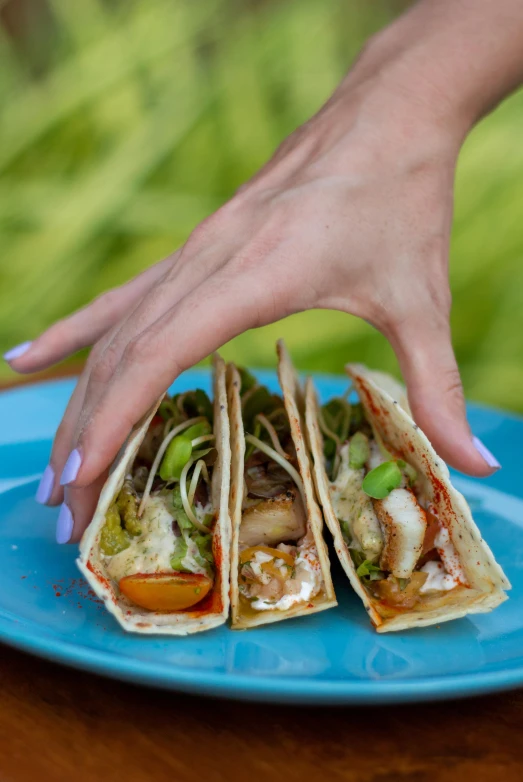 the sandwich is being held on top of the plate