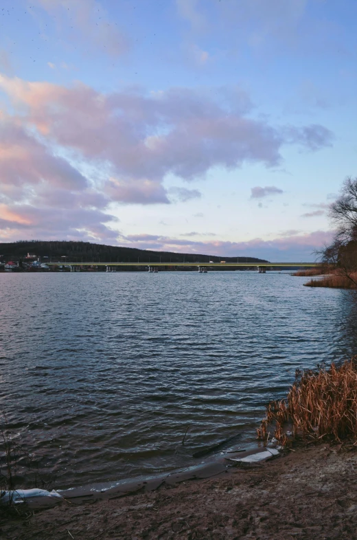 a large body of water with dirt and water plants