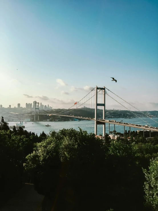 a bridge that is over water with buildings in the background