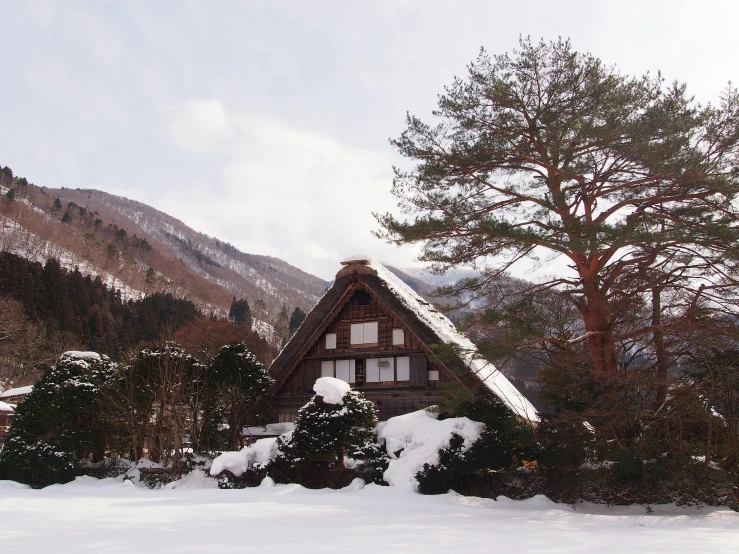 the house is next to a pine tree in the snow