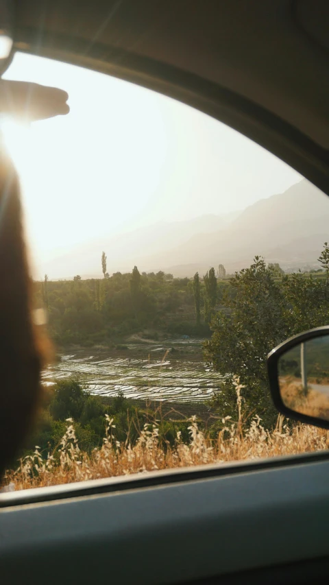 an image of some water and trees from inside the car