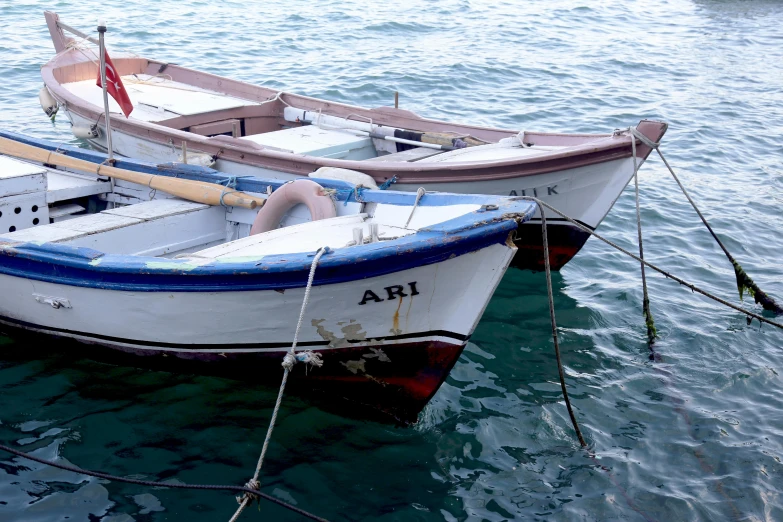 three small boats are tied to the shore