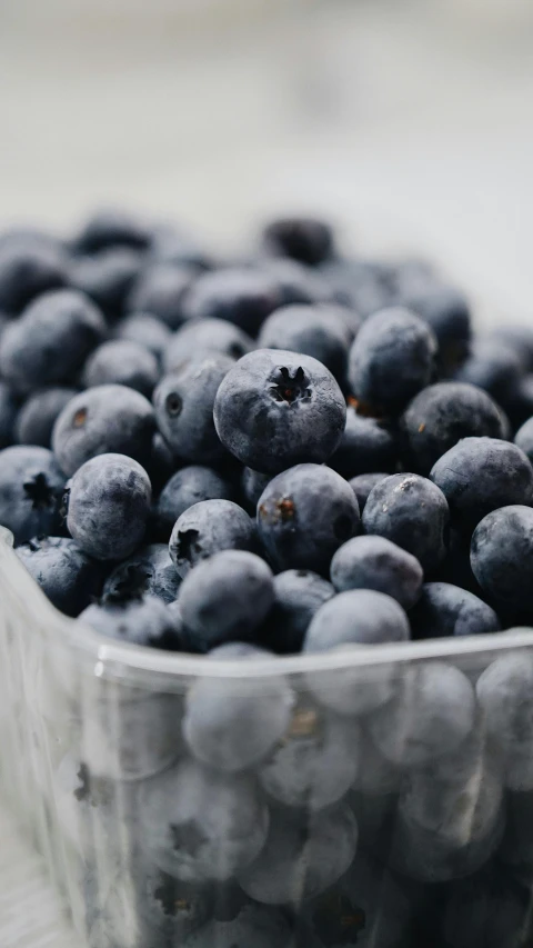 blueberries sit in a plastic bowl on the table