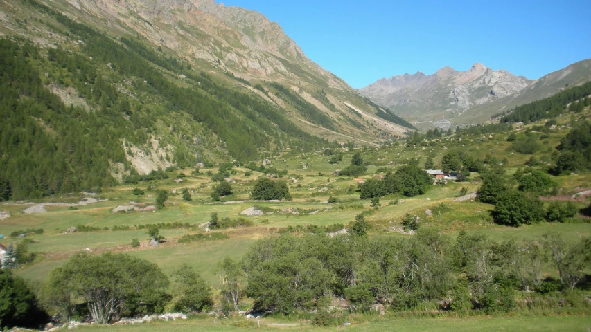 a field in the valley of a mountain with lots of trees