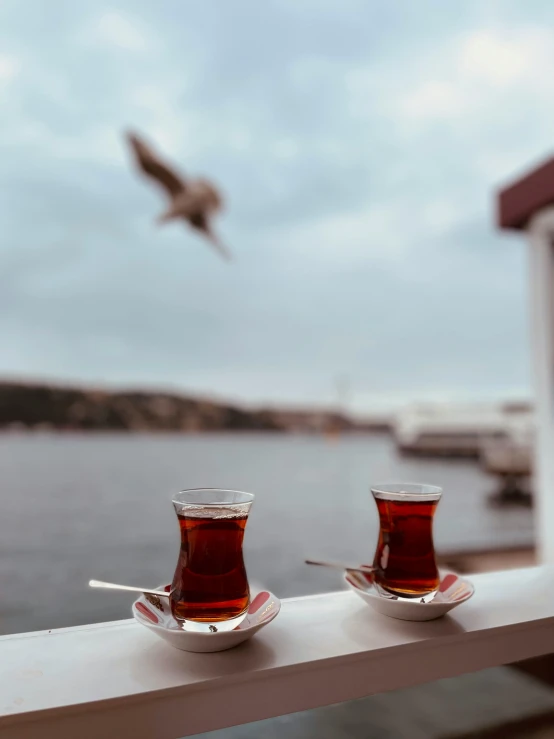two cups of tea on a plate with a bird flying overhead