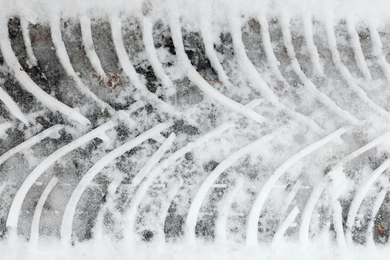 snow - covered tire prints on snow in winter